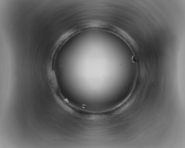X0000115240938200911061144