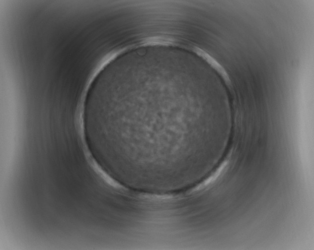 X0000115240941200911061144