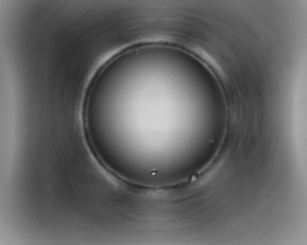 X0000115240943200911061144
