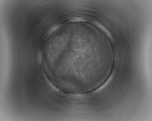 X0000115240945200911061144