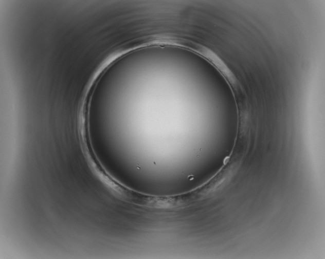 X0000115240955200911061145