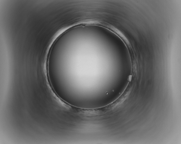 X0000115240959200911061145