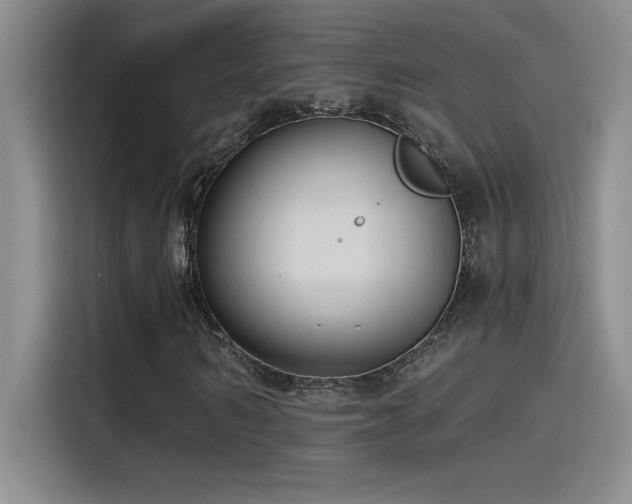 X0000115240962200911061144