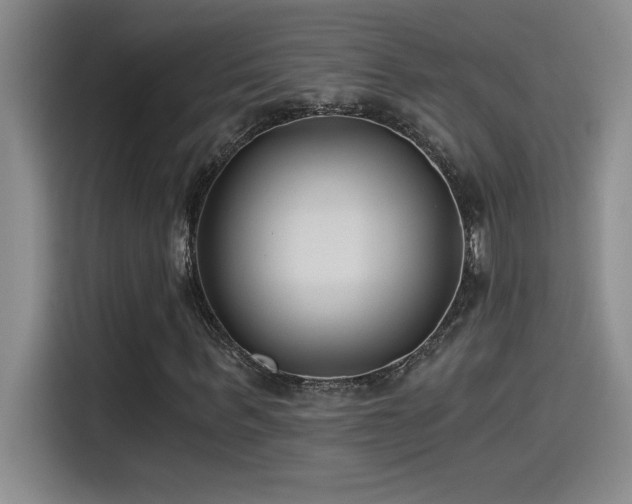 X0000115240963200911061144