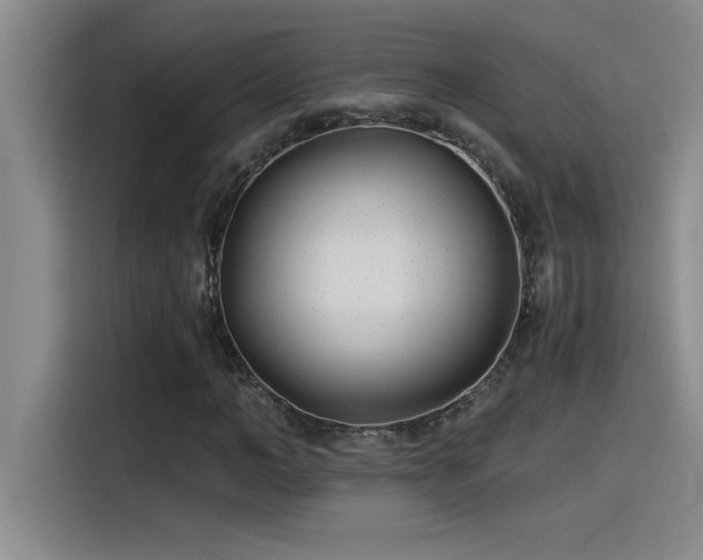 X0000115240966200911061144