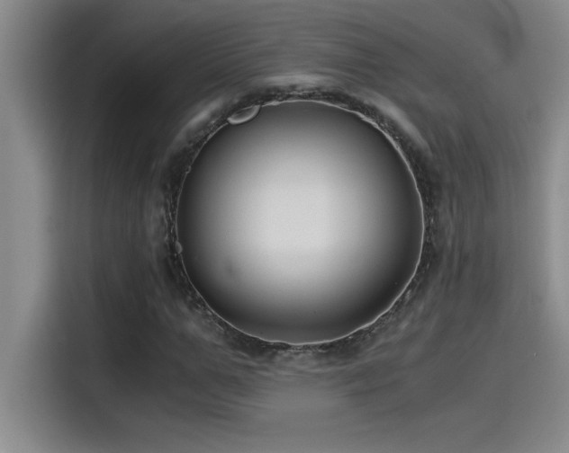 X0000115240967200911061144