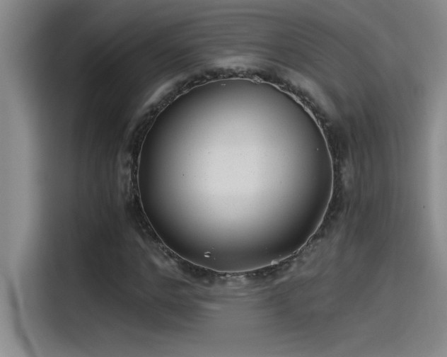 X0000115240968200911061144