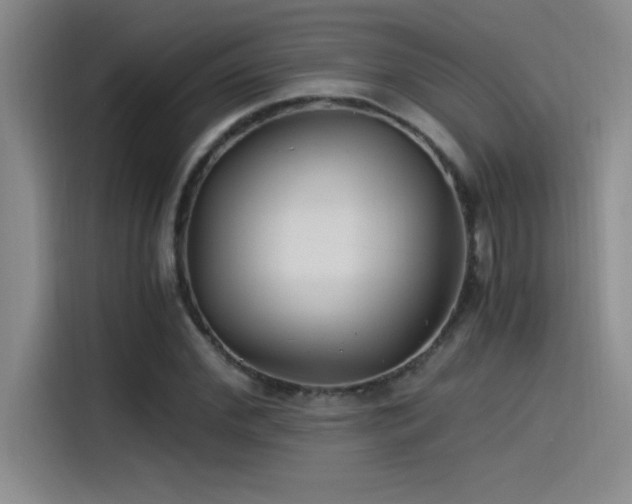 X0000115240972200911061144