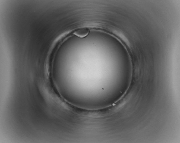 X0000115240979200911061144