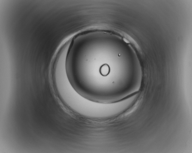 X0000115240981200911061144