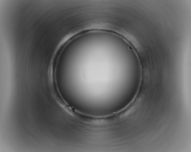 X0000115240982200911061144