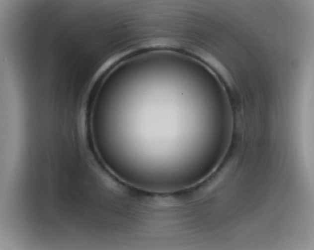 X0000115240983200911061144