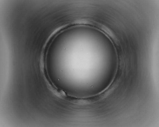 X0000115240984200911061144