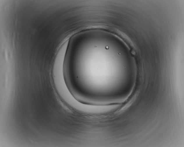 X0000115240985200911061144