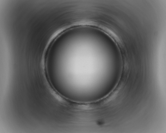 X0000115240990200911061144