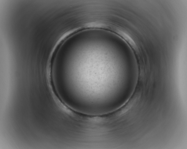 X0000115240992200911061144