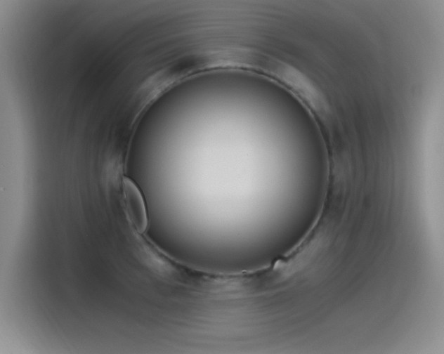 X0000115240993200911061144