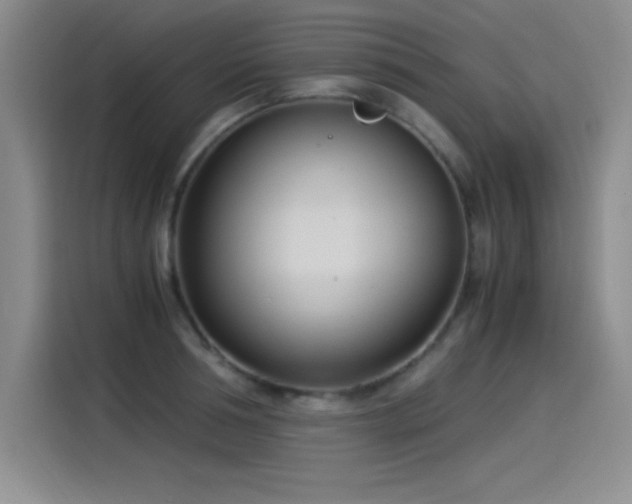 X0000115240994200911061144