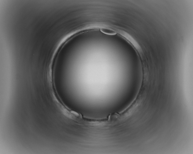 X0000115240996200911061144