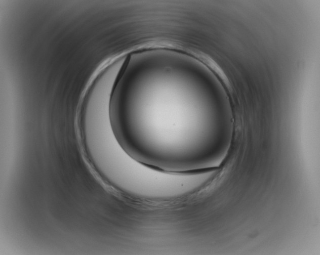 X0000115240997200911061144