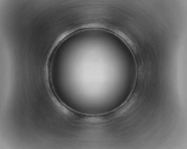 X0000115240998200911061144