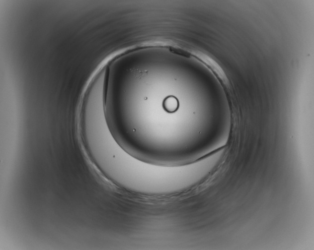 X0000115241000200911061143