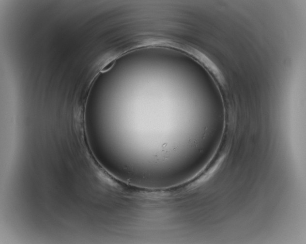X0000115241001200911061143
