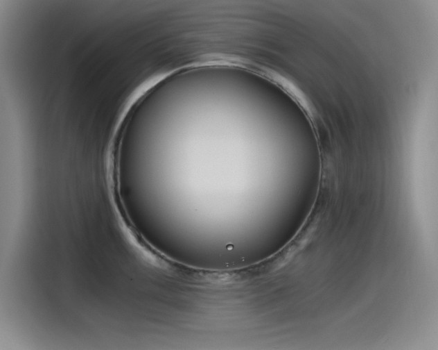 X0000115241003200911061143