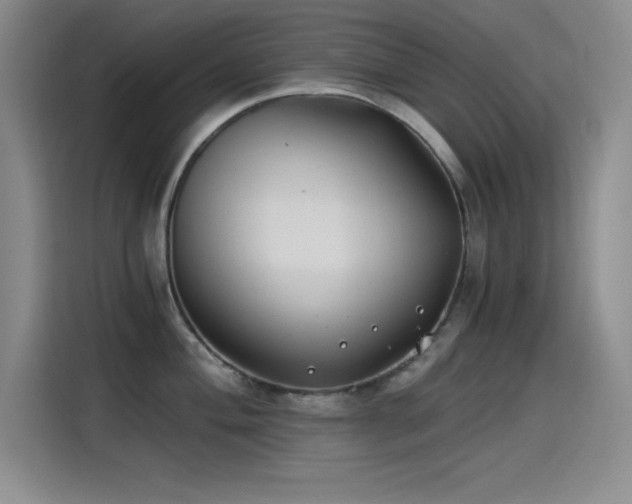 X0000115241004200911061143
