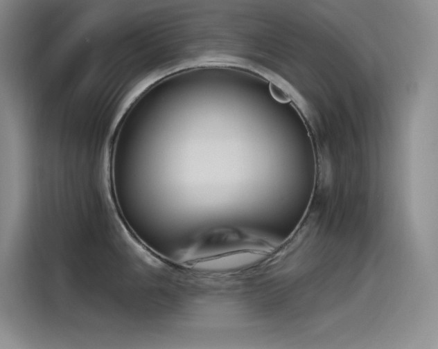 X0000115241006200911061143