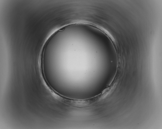 X0000115241007200911061143