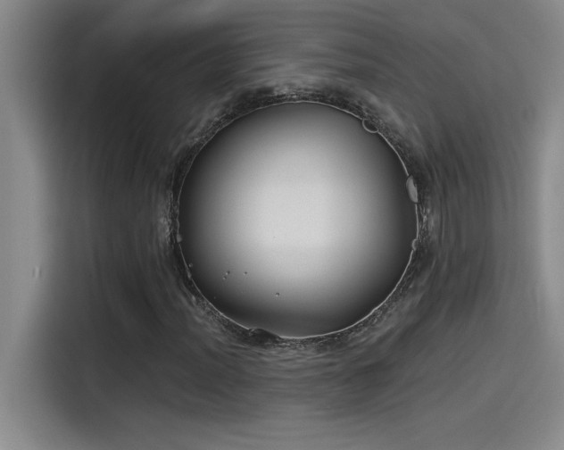 X0000115241012200911061143