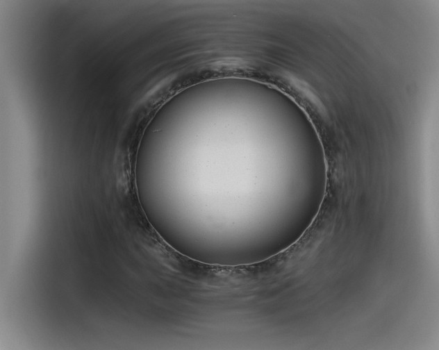 X0000115241015200911061143