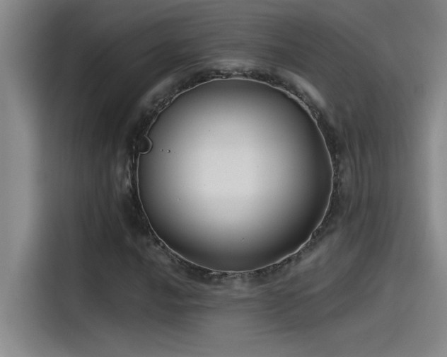 X0000115241016200911061143