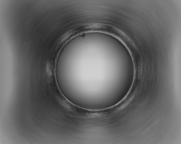 X0000115241017200911061143