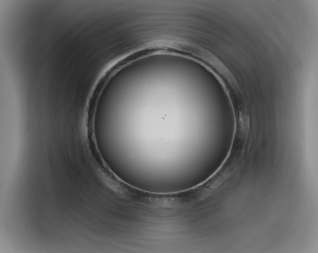 X0000115241020200911061143
