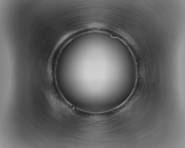 X0000115241022200911061143