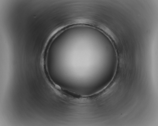 X0000115241024200911061143