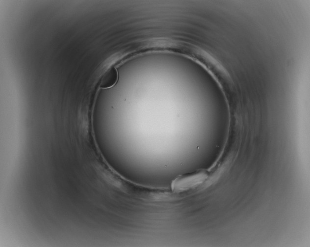 X0000115241025200911061143