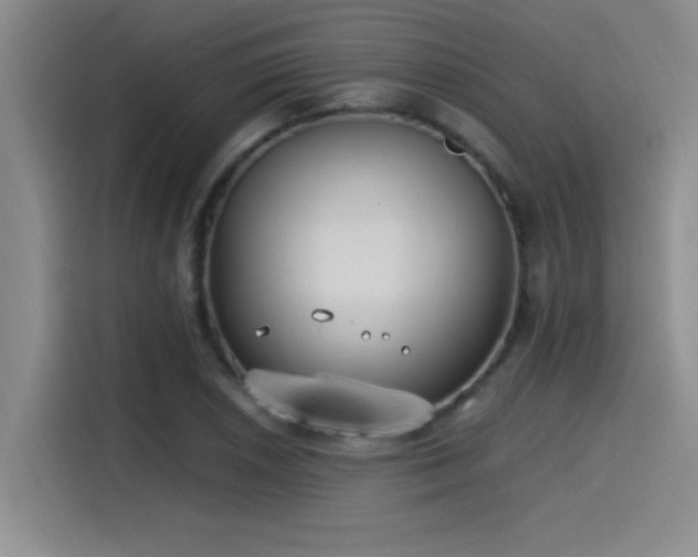 X0000115241026200911061143