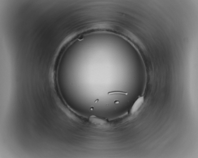X0000115241029200911061143