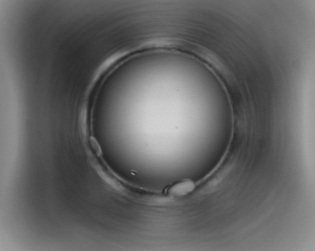 X0000115241030200911061143