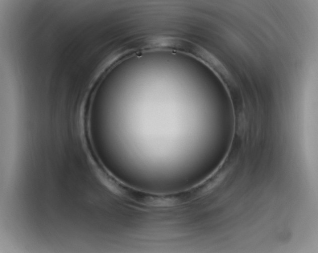 X0000115241039200911061143