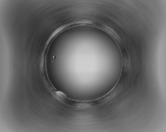 X0000115241044200911061143