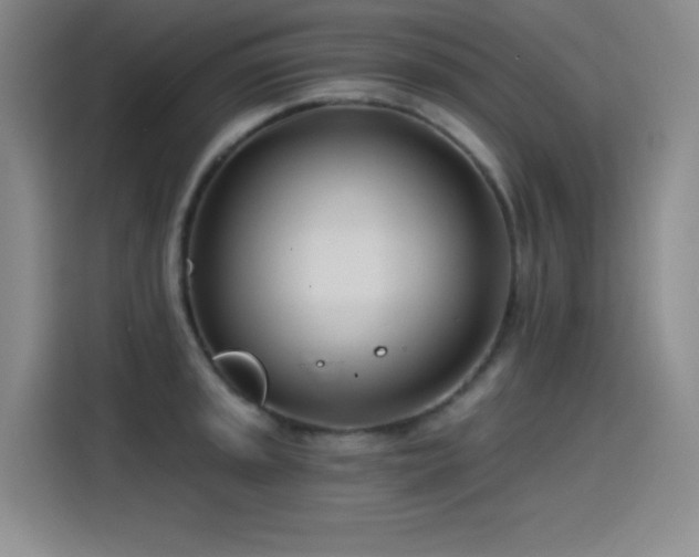 X0000115241045200911061143