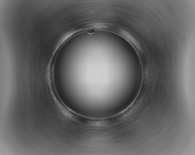 X0000115241047200911061143