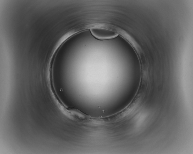 X0000115241050200911061143
