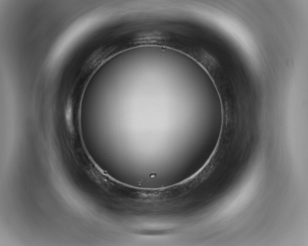 X0000115241054200911061143