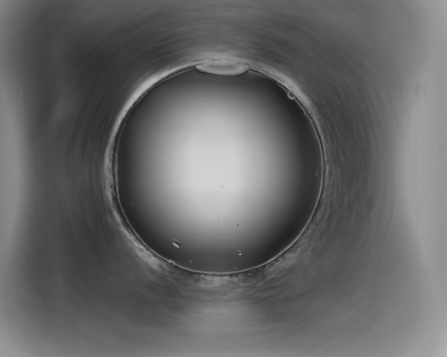 X0000115241056200911061143