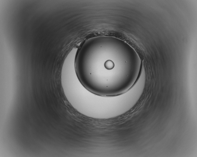 X0000115241060200911061143